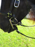 2nd Generation Imus Training Transition Bit-Gaited Bits-Phoenix Rising Saddles Gaited Horse Tack-Phoenix Rising Saddles Gaited Horse Bits